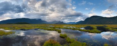 BC, Kanada 'da dağ dinginliğiyle çevrili manzaralı bir bataklık..