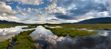Kanada, BC 'de yansıyan bulutlar ve dağlarla huzurlu sulak arazi sahnesi.