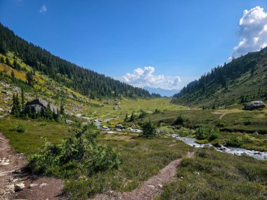 Squamish, BC, Kanada 'da güzel bir vadi Dağlar ve canlı yeşilliklerle çevrili.