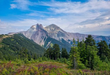 Dağlık arazi ve yemyeşil orman Squamish, BC, Kanada 'da doğal güzellikleri yakalıyor..