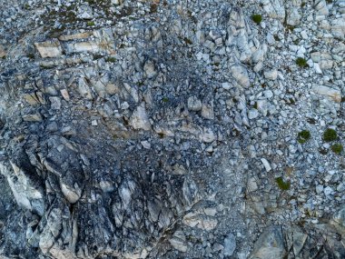 Engebeli araziyi tasvir eden seyrek yeşil bitkilerle doğal kayalık yüzey. BC, Kanada 'da kurulmuştur..