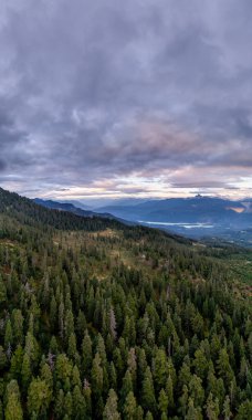 Yoğun yeşil bir orman, yuvarlanan dağlar, uzak bir göl ve Kanada 'nın Britanya Kolombiya şehrinde dramatik bir gökyüzü..