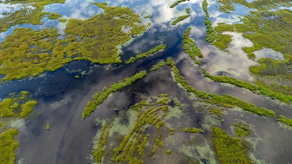 BC, Kanada 'daki canlı sulak alanların dinamik hava manzarası doğal güzellikleri gözler önüne seriyor..