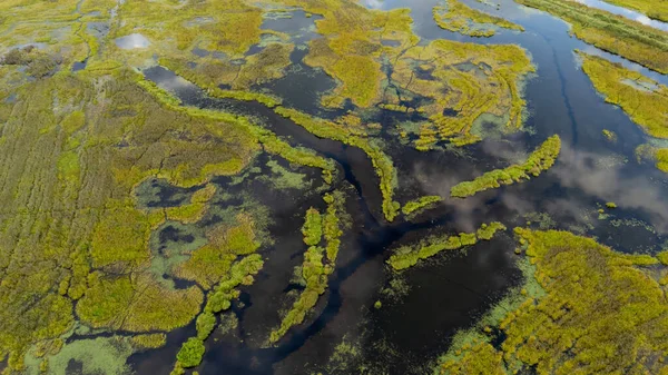 Kanada, BC 'de yemyeşil otlar ve suyun yer aldığı vahşi doğanın havadan ele geçirilmesi..