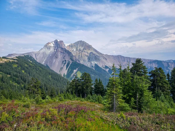 Bereketli ormanları ve açık gökyüzü ile nefes kesici dağ manzarası Squamish, BC, Kanada.