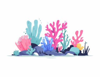 Mercan Resifi Düz Çizim