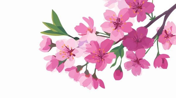 Kiraz Çiçeği Düz Çizim