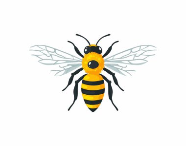 Honey Bee flat illustration