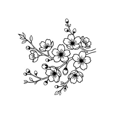 Zarif sakura çiçek dalı taslağı.