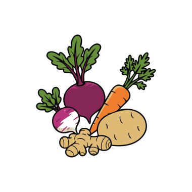 organik kök sebze hasat çizgi filmi.