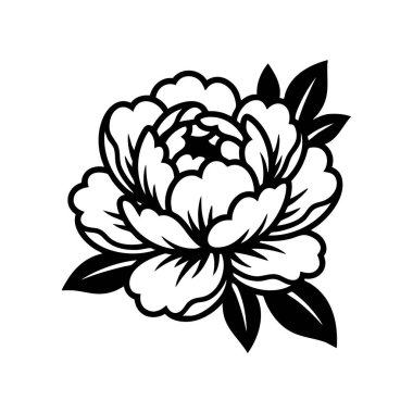 Siyah ve Beyaz Şakayık Çiçeği Romantik Bahçe Çiçeği.