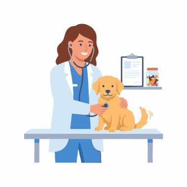 Bayan veteriner Golden Retriever köpeğini inceliyor.