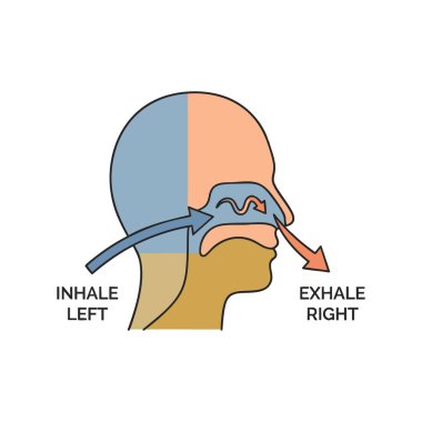 Pranayama alternatif burun deliği solunum tekniği diyagramı