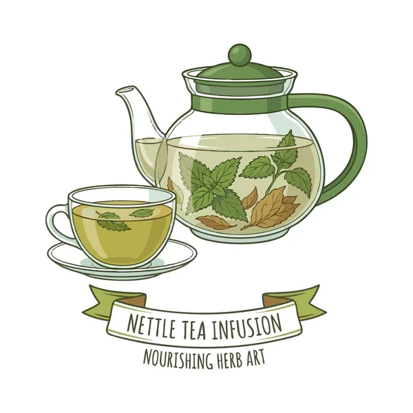 Isırgan otu çayı infüzyon vektör çizimi
