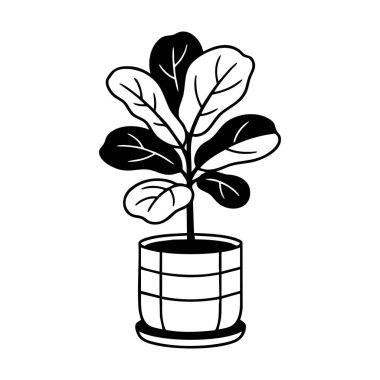 Fiddle leaf incir bitkisi vektör çizimi