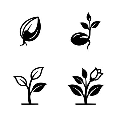 bitki büyüme aşamaları simgesi belirlendi