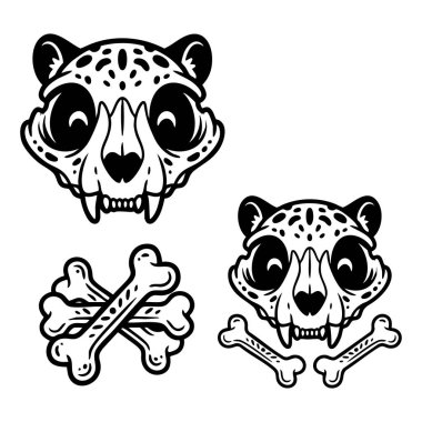 Leopar kafatası ve kemik çizimleri