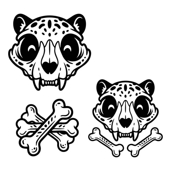 Leopar kafatası ve kemik çizimleri