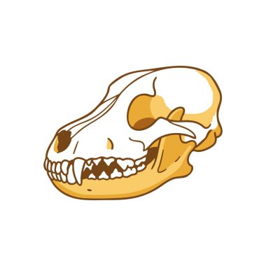 karikatür kurt kafatası çizimi