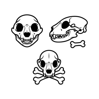 kedi ve köpek kafatası ve kemik çizimleri