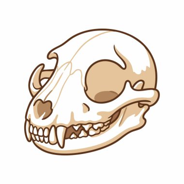 karikatür köpek kafatası çizimi