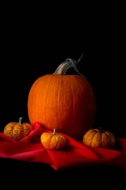Still life of large and small pumpkins against black background