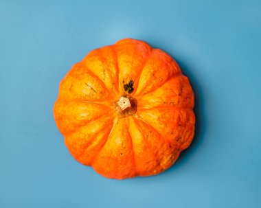 autumn, background, blue, cl20251013, commercial, flat lay, food, gourd, halloween, harvest, isolated, orange, pumpkin, top down, 