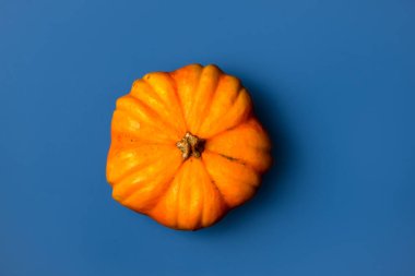 Flat lay of Pumpkin isolated on blue background