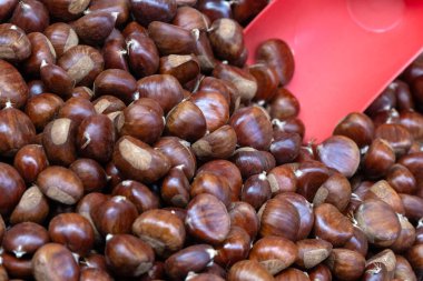 Taze çiğ tatlı kestaneler bir manavın tezgahında kepçeyle servis ediliyor.