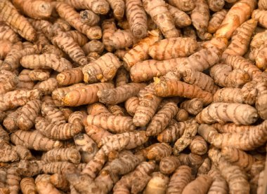 Bir gıda pazarında taze çiğ zerdeçal baharatı (Curcuma longa)