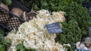 LONDON, İngiltere - 27 Nisan 2019: Fiyat etiketli Coral Mantarları bir çiftçi pazarında satışa sunuldu