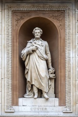 LONDON, İngiltere - Mayıs 06, 2019: Kraliyet Akademisi Burlington Bahçeleri cephesinde Georges Cuvier Heykeli