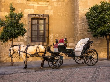 CORDOBA, İSPA - 11 Mart 2016: At ve araba turist bekliyor