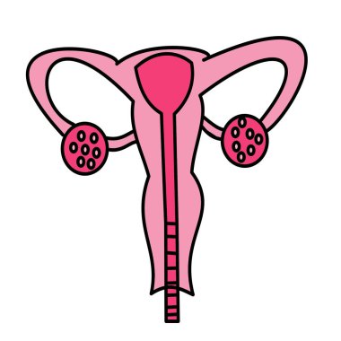 Her iki yumurtalık hastalığında da çok sayıda kist bulunan polisistik yumurtalık sendromu. Kadın minimalist renk.