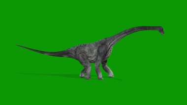 Gerçekçi Carnotaurus Yeşil Ekran Video-Jurasik Dinozor VFX Clip 'inde boşta