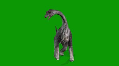 Gerçekçi Carnotaurus Yeşil Ekran Dinozor VFX Clip 'inde Önde Boşta