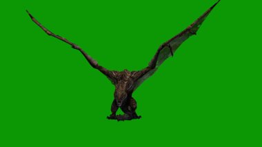 Fantasy Dragon Die Sahne Önü 3D Canlandırma Yeşil Ekran