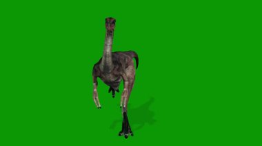 3D Dinozor Animasyonu Yeşil Ekran Video-Dinogram Hızlı Çalıştır