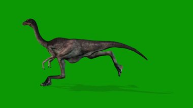 3D Dinozor Animasyonu Yeşil Ekran Video-Dinogram Hızlı Sola Çalıştır