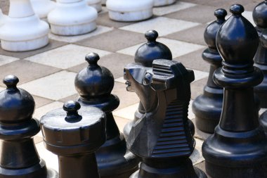 Bahçe Satrancı güneş ışığında figürlerle 