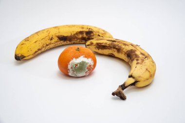 Küflü mandalinalar ve çürük muzlar beyaz arka planda yakın plan