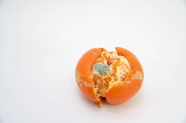 Beyaz Arkaplanda Çürük Mandarin. yakın plan