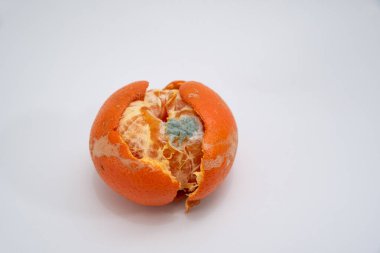 Beyaz Arkaplanda Çürük Mandarin. yakın plan