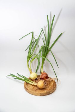 Beyaz arka planda kökleri olan yeşil filizlenmiş soğan.