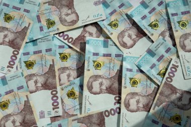 Ukrayna parası, Ukrayna banknotlarının dokusu ve yüz değeri bin hryvnia..