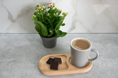 Yeşil çiçeğin yanında bir fincan kahve ve bir parça siyah çikolata. Sabah rutini