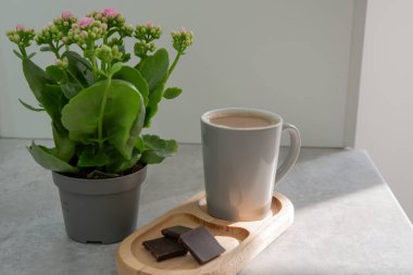 Yeşil çiçeğin yanında bir fincan kahve ve bir parça siyah çikolata. Sabah rutini