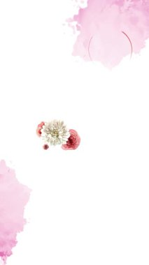 Pembe suluboya aksanlı zarif çiçek aranjmanı, arka plan ve tasarımlar için mükemmel..