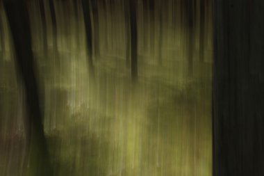 büyük şehirde gece