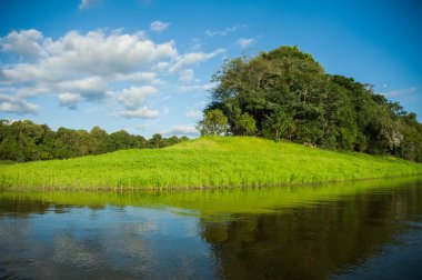 güzel Amazon nehri